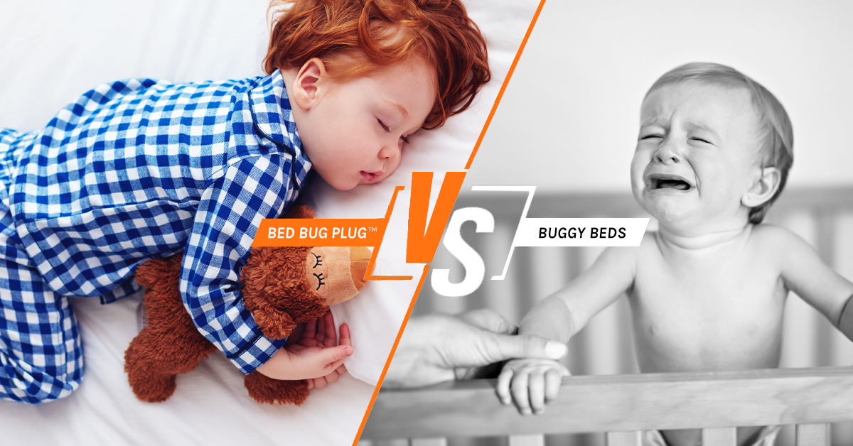 Buggy Beds Alternative Reviews Comparison Bed Bug Plug Buggy Beds Alternative Reviews Comparison Bed Bug Plug
