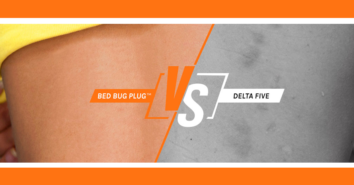 Delta Five Bed Bug Trap Alternative Reviews Bed Bug Plug