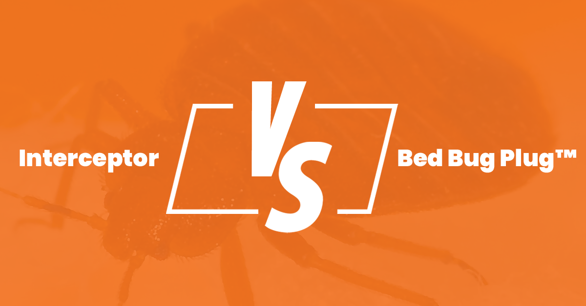 Bed Bug Interceptor Alternative Reviews Bed Bug Plug